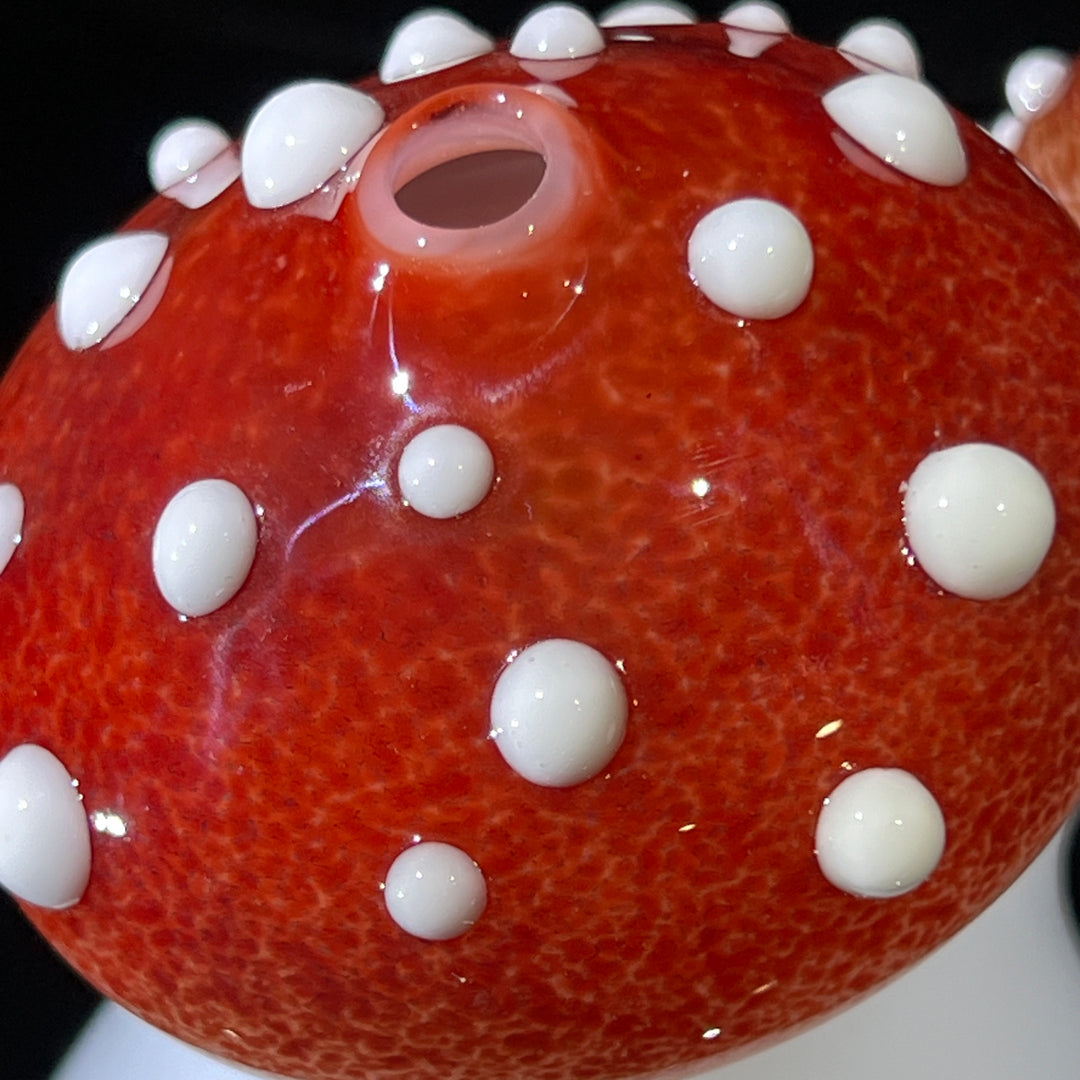 Toadstool Mini Rig Glass Pipe Fiona Phoenix Fire   