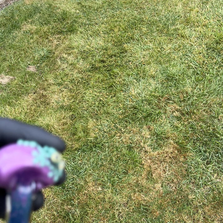 Purple Magic Frog Spoon Glass Pipe Beezy Glass