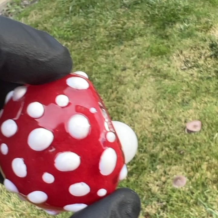 Magical Mushroom Spoon Glass Pipe Beezy Glass