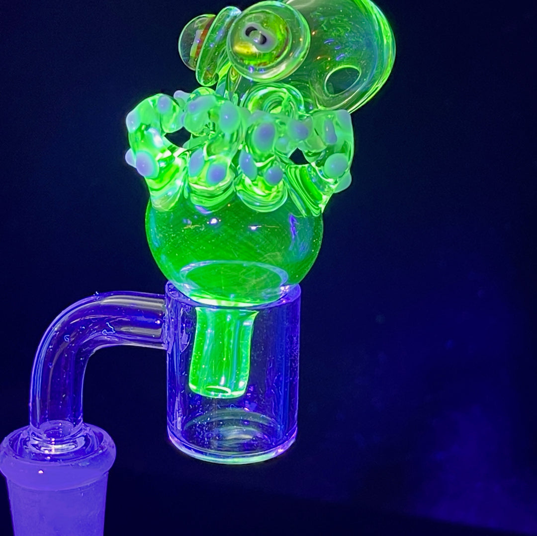 UV Octo Bubble Cap-Clear  Tako Glass   