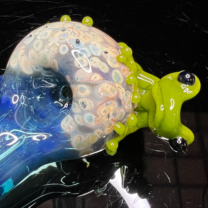 Frog Glass Pipe 10 Glass Pipe Stoney Chicken   