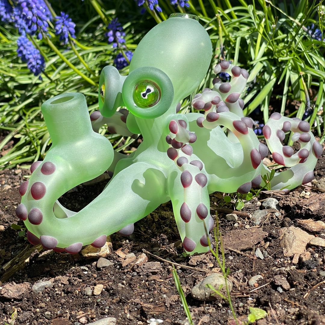 Crippy Octopus Water Rig Glass Pipe Pacini Glass   